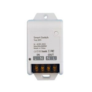 WiFi Relay Switch (30A)